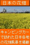 日本の花畑